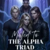 Mated To The Alpha Triad: A Paranormal Reverse Harem Romance