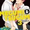 Megumi & Tsugumi, Vol. 3 (Yaoi Manga)