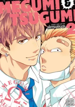 Megumi & Tsugumi, Vol. 2 (Yaoi Manga)