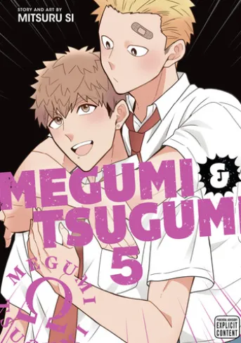 Megumi & Tsugumi, Vol. 5 (Yaoi Manga)