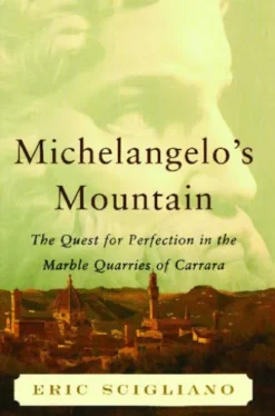 Michelangelo's Mountain