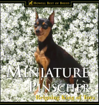 Miniature Pinscher