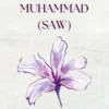 50 Miracles Of Muhammad saw