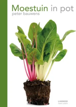 Moestuin in pot