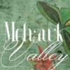 Mohawk Valley