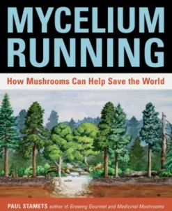 Mycelium Running