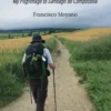 My Footsteps on the Camino of the Stars