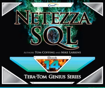 Netezza SQL