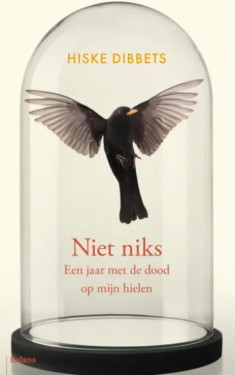 Niet niks