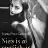 Niets is zo ongrijpbaar