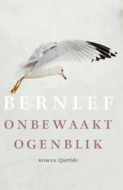 Onbewaakt ogenblik