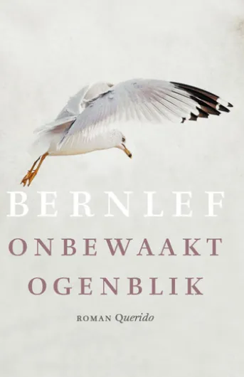 Onbewaakt ogenblik