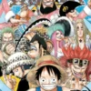 One Piece, Vol. 51