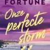 Onze perfecte storm