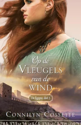 Op de vleugels van de wind