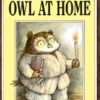 Owl at Home