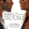 Perfect Kind of Trouble