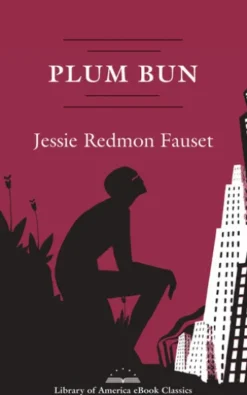 Plum Bun: A Novel Without a Moral