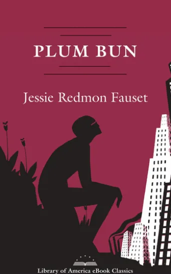 Plum Bun: A Novel Without a Moral