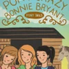 Pony Crazy