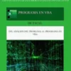 Programa en VBA (Visual Basic for Applications) - nueva versión
