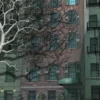 Providence 1