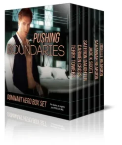 Pushing Boundaries Dominant Hero Boxed Set