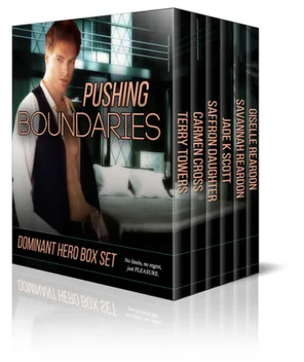 Pushing Boundaries Dominant Hero Boxed Set