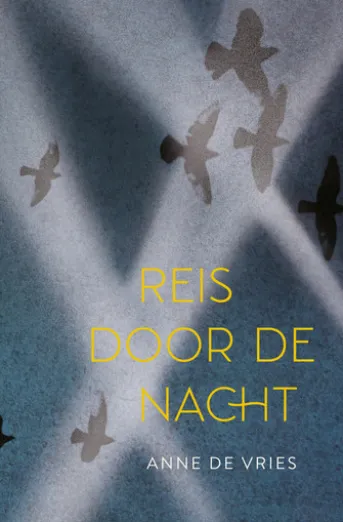 Reis door de nacht