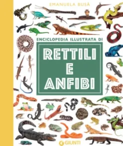 Rettili e anfibi