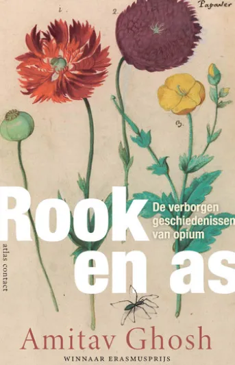 Rook en as
