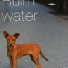 Ruim water