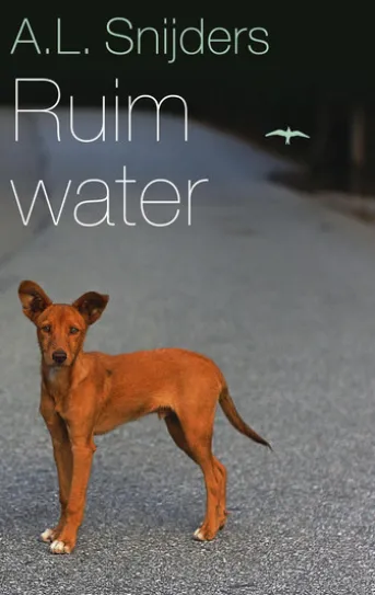 Ruim water