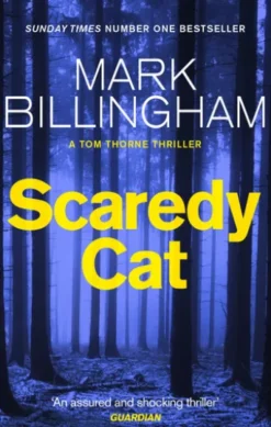 Scaredy Cat