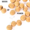 Seeds of Power