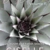 Sexy Surprises Volume 11: 24 BDSM and Fetish Stories