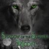 Shadow of the Summer Moon