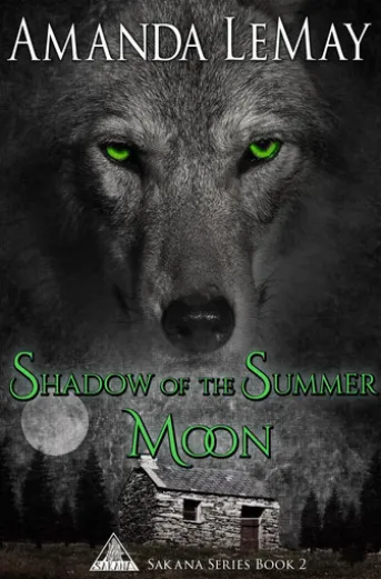Shadow of the Summer Moon