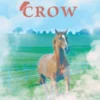 Shoalie's Crow