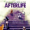 Signs From Pets In The Afterlife