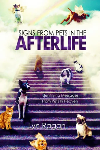 Signs From Pets In The Afterlife