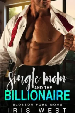 Single Mom And The Billionaire (Nederlands)