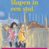 Slapen in een stal