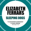 Sleeping Dogs