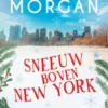 Sneeuw boven New York