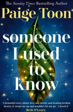 Someone I Used to Know
