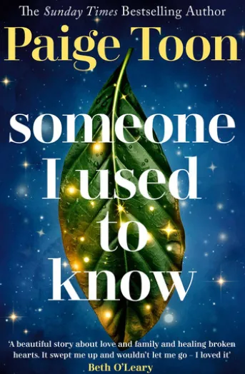 Someone I Used to Know