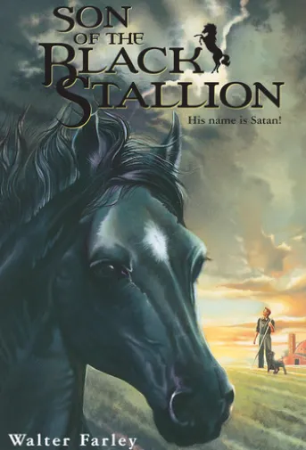 Son of the Black Stallion