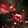 Spells