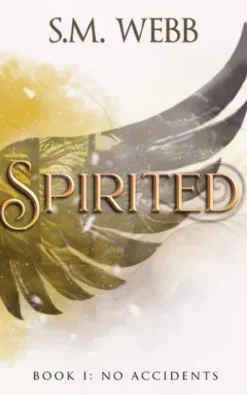 Spirited: No Accidents